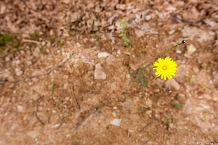 2016_06_05_Image # (00001)14685