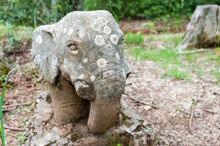 2016_06_05_Image # (00001)14693