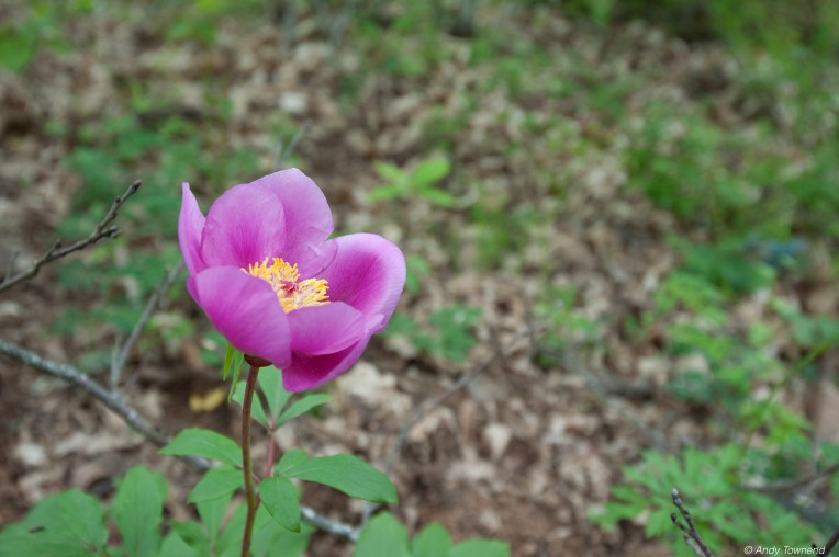 2016_06_05_Image # (00001)14695