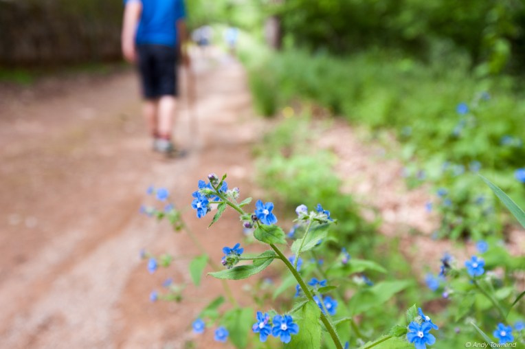 2016_06_05_Image # (00001)14715