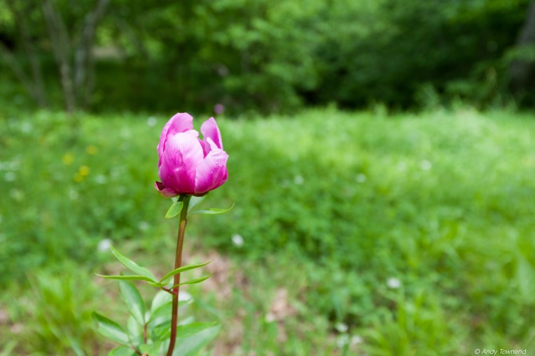 2016_06_05_Image # (00001)14718