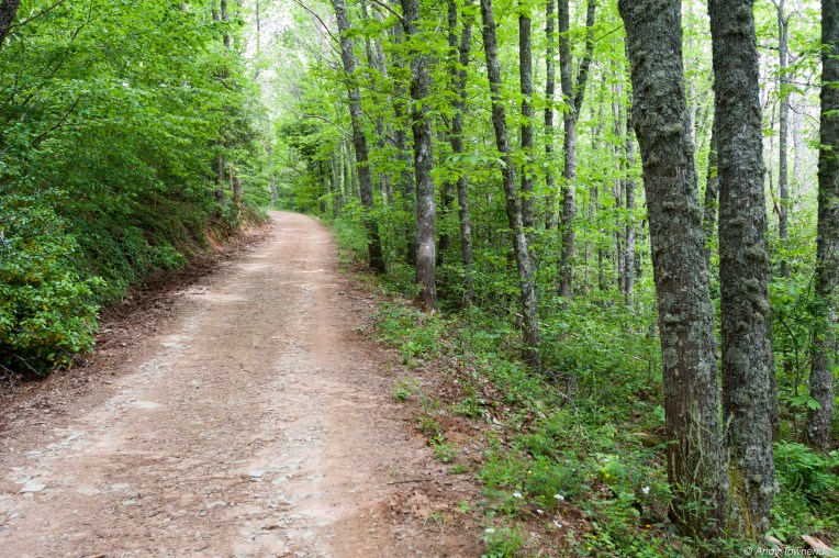 2016_06_05_Image # (00001)14732