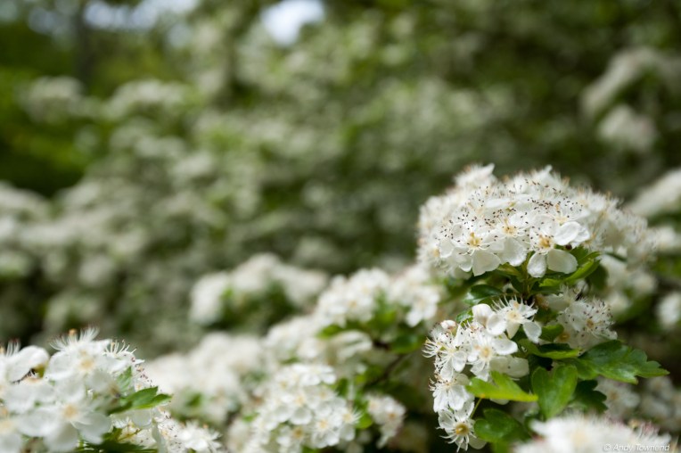 2016_06_05_Image # (00001)14753