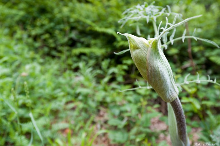 2016_06_05_Image # (00001)14758