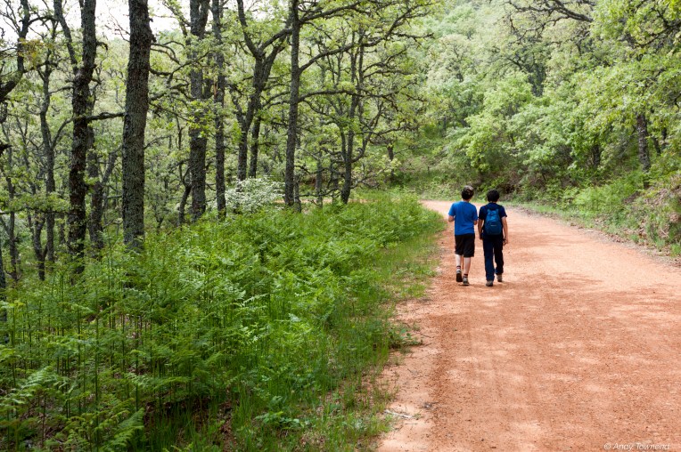 2016_06_05_Image # (00001)14770