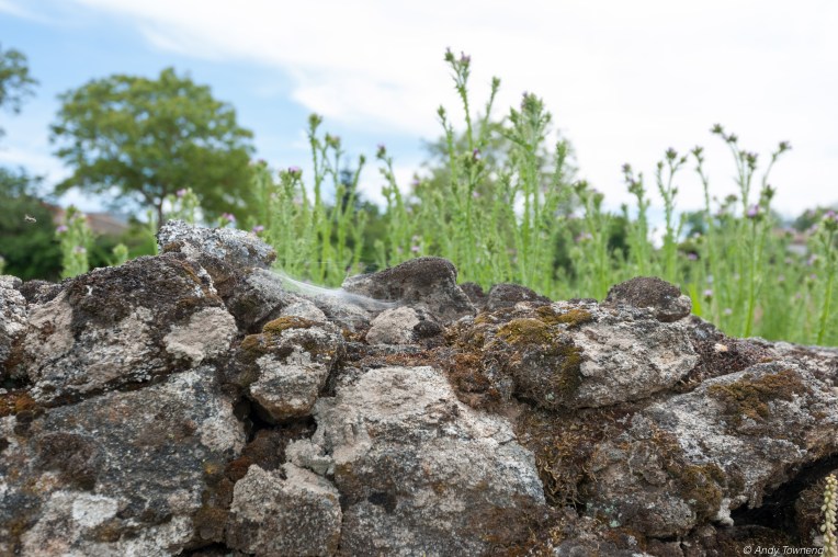 2016_06_05_Image # (00001)14778